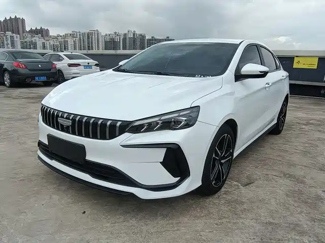 2024 Geely Binrui