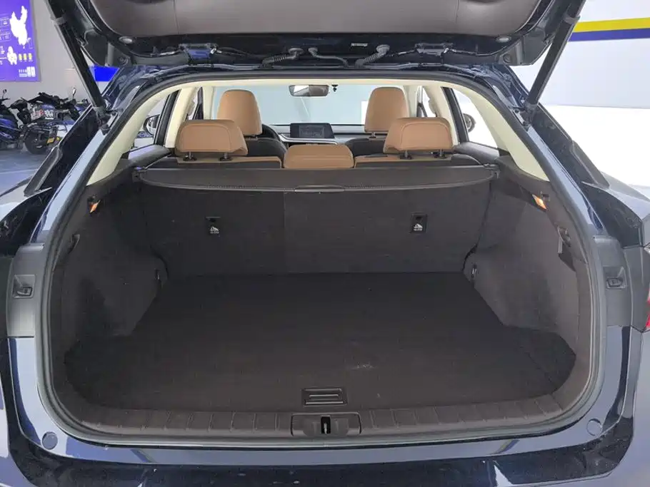 Lexus RX 2016 300 Elegant V