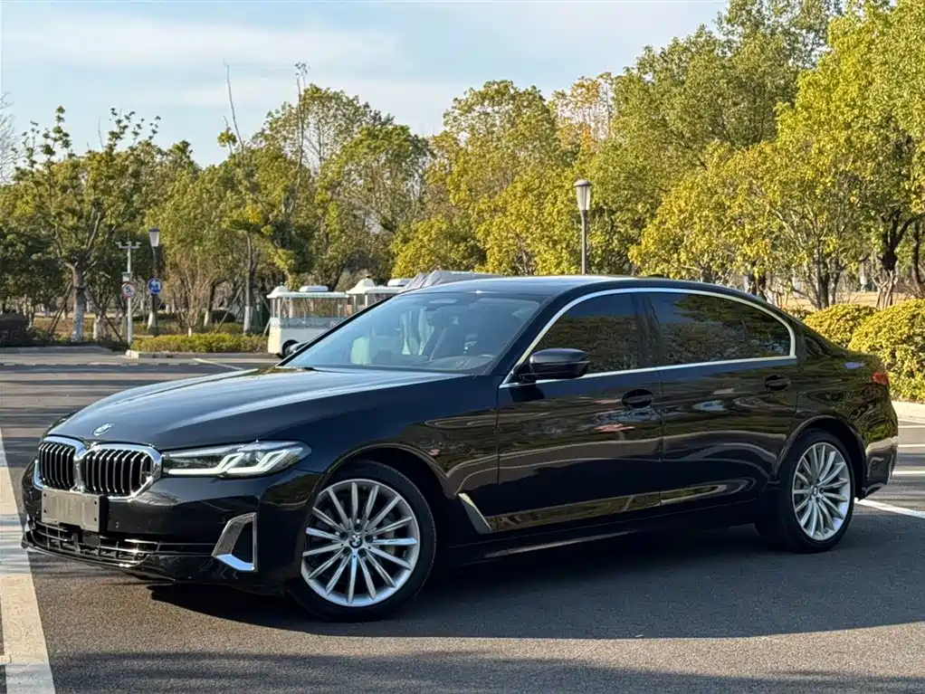 Купить BMW 5 Series
