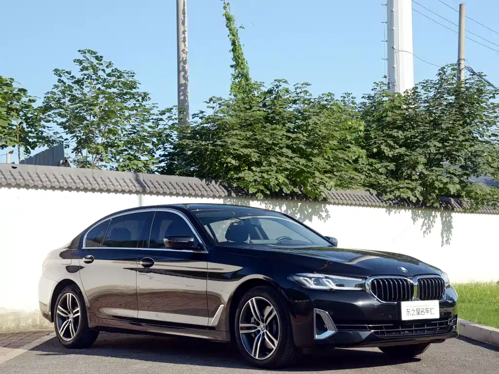 BMW 5 Series — миниатюра 3