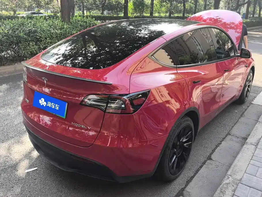 Tesla Model Y — миниатюра 3