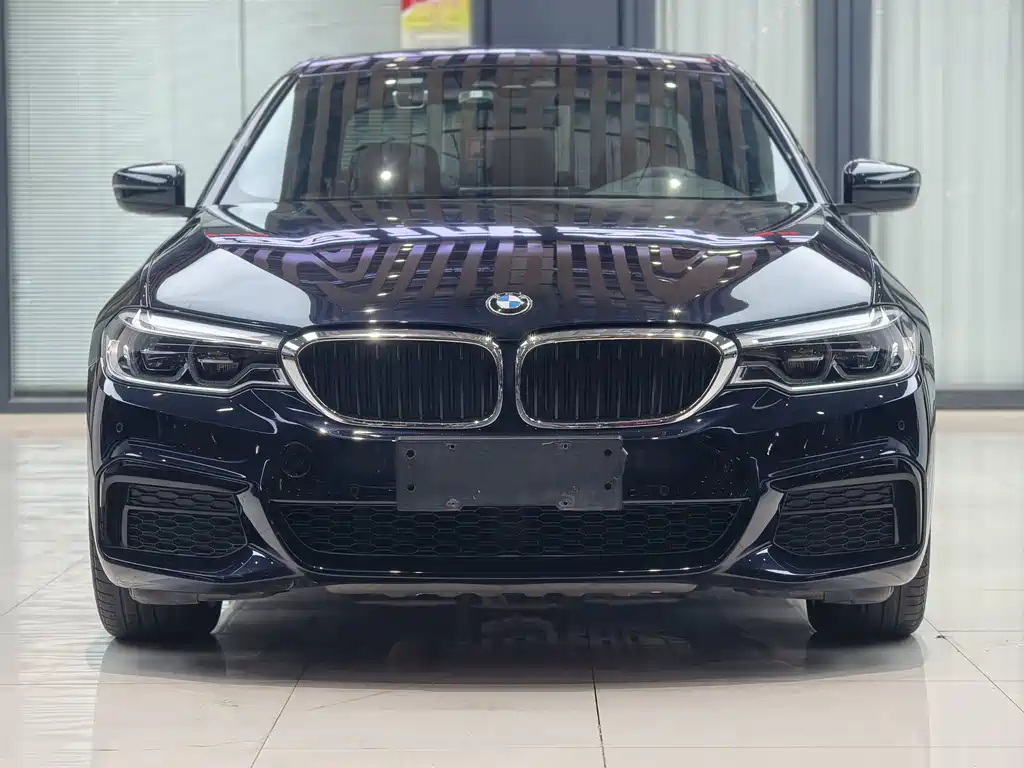 BMW 5 Series (Import) — миниатюра 2