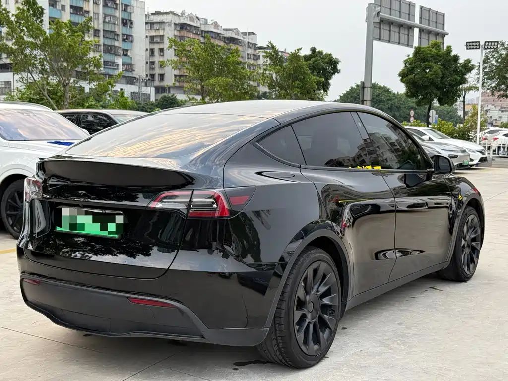 Tesla Model Y — миниатюра 6