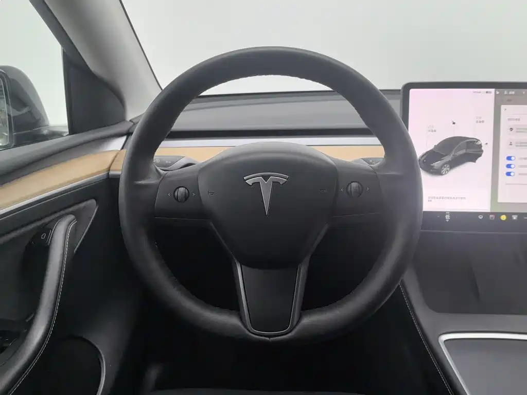 Tesla Model Y — миниатюра 11