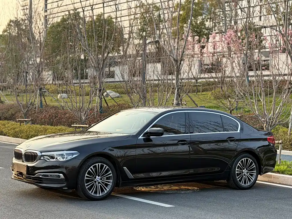 BMW 5 Series 2019