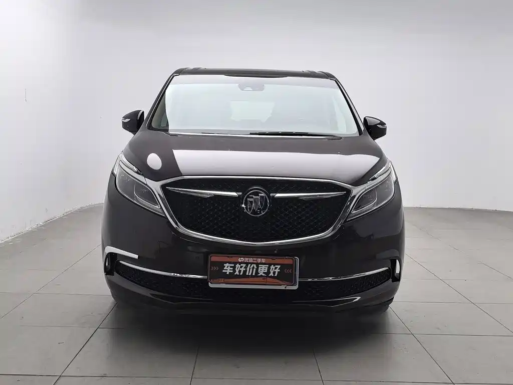 Buick GL8 — миниатюра 3