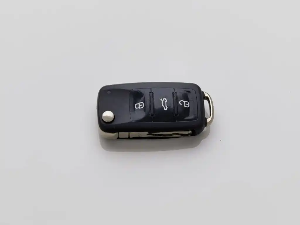 Volkswagen Gran Lavida — миниатюра 19