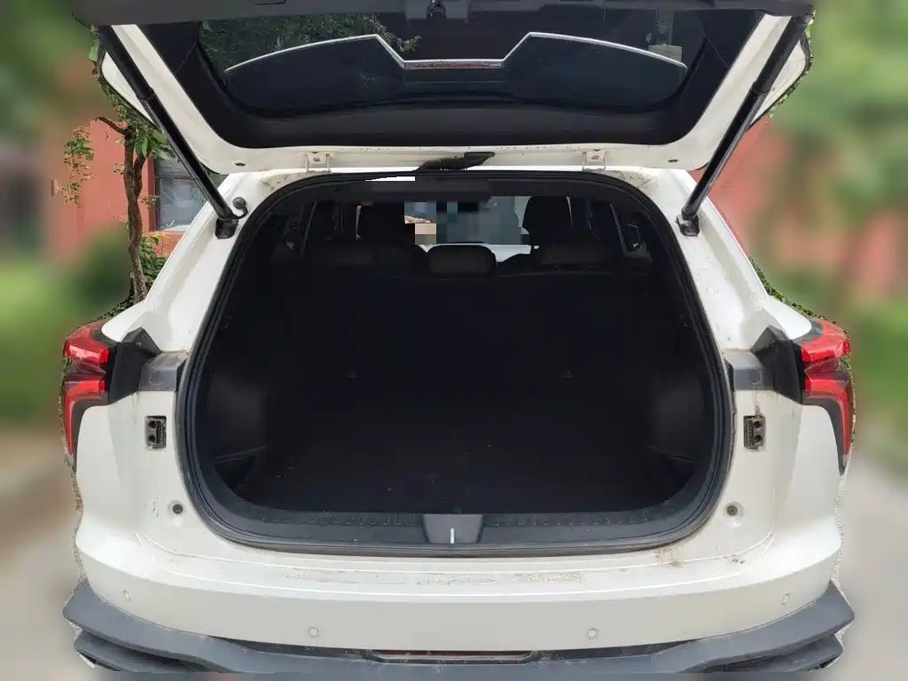 Haval Shenshou — миниатюра 10