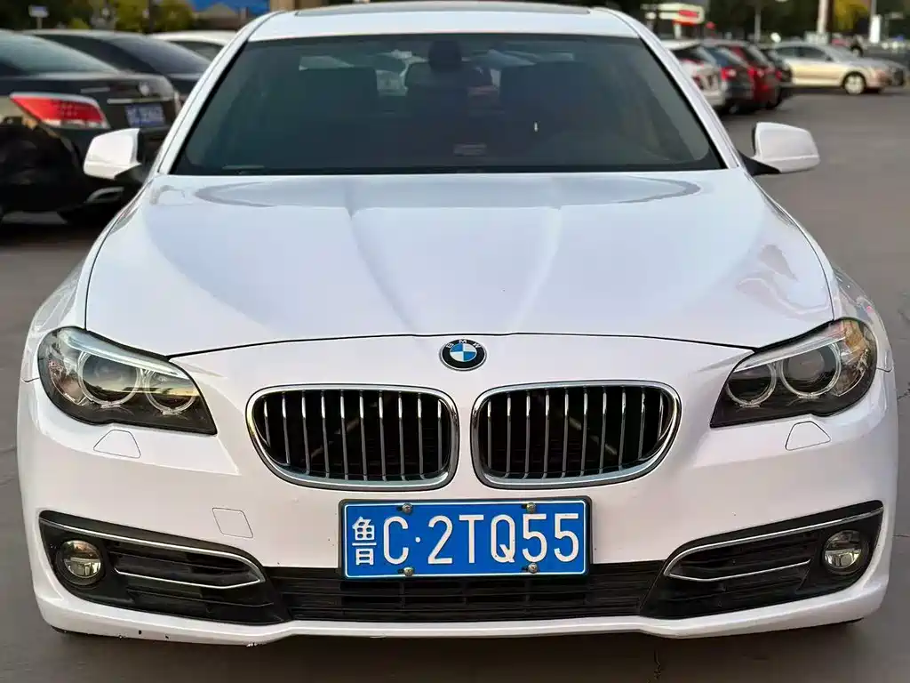 BMW 5 Series 5 2012 523Li Lead