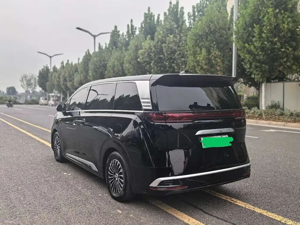 Denza Denza D9 — миниатюра 7