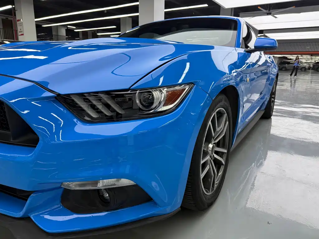 Ford Mustang — миниатюра 21
