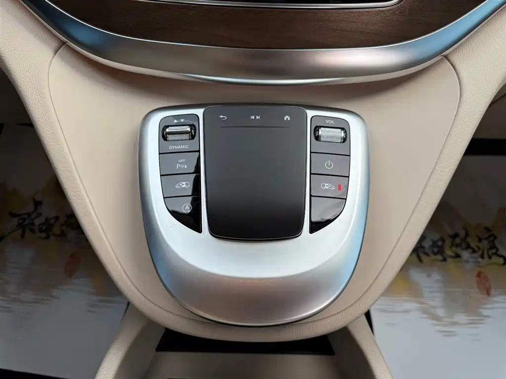 Mercedes-Benz V-Class V 260 L Long Wheelbase Luxury Edition, фото 35