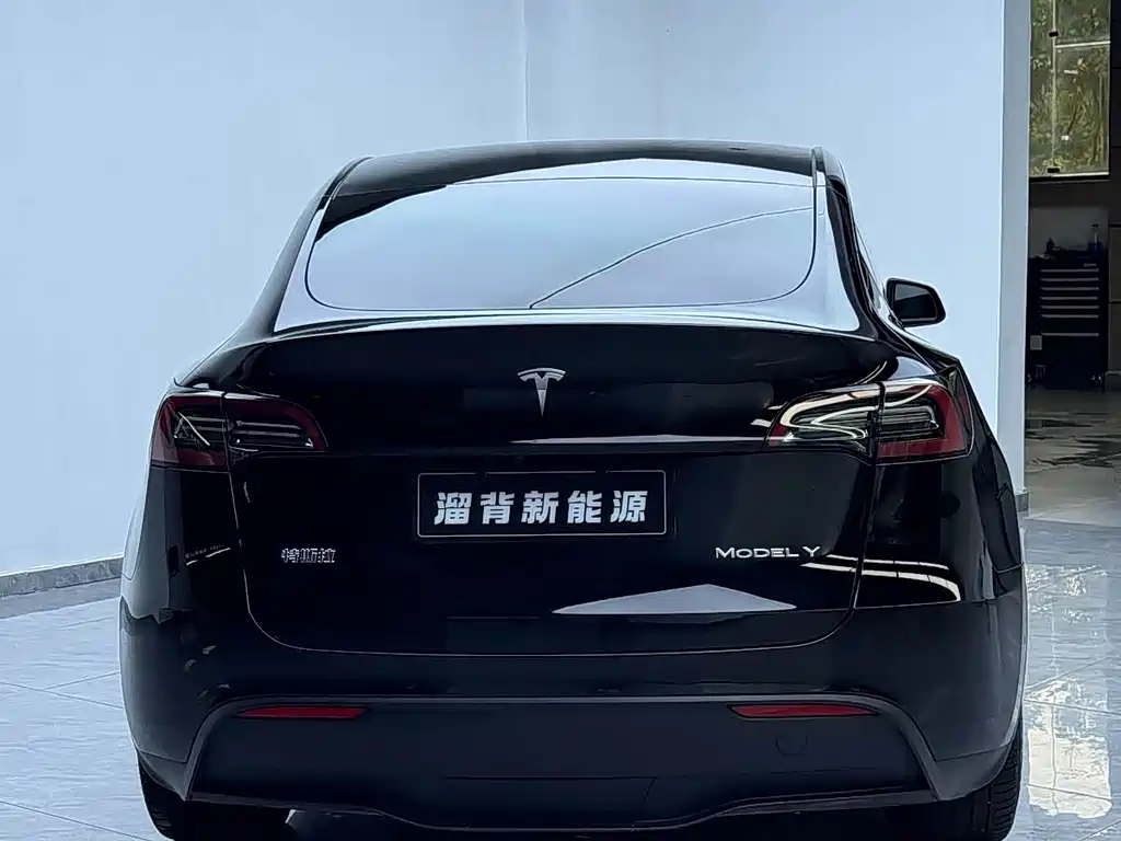 Tesla Model Y — миниатюра 15