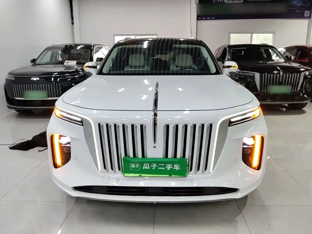 Hongqi Hongqi E-HS9 — миниатюра 3