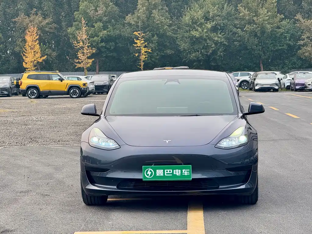 Tesla Model 3 — миниатюра 2