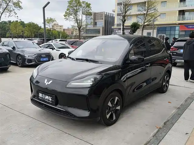 WULING WULING BINGGUO PLUS 2026