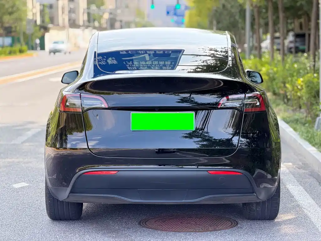 Tesla Model Y — миниатюра 5