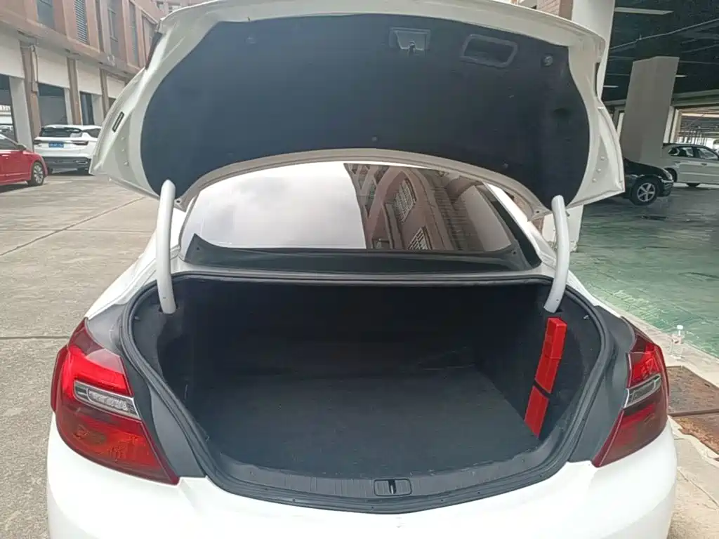 Buick Regal — миниатюра 19