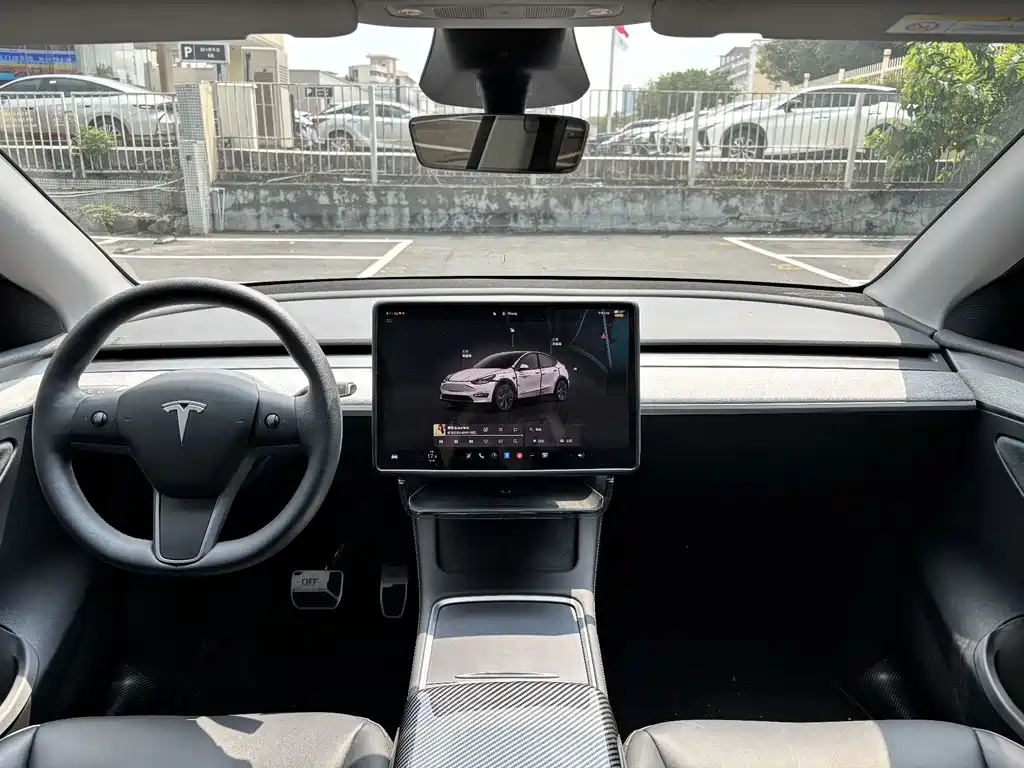 Tesla Model Y — миниатюра 12