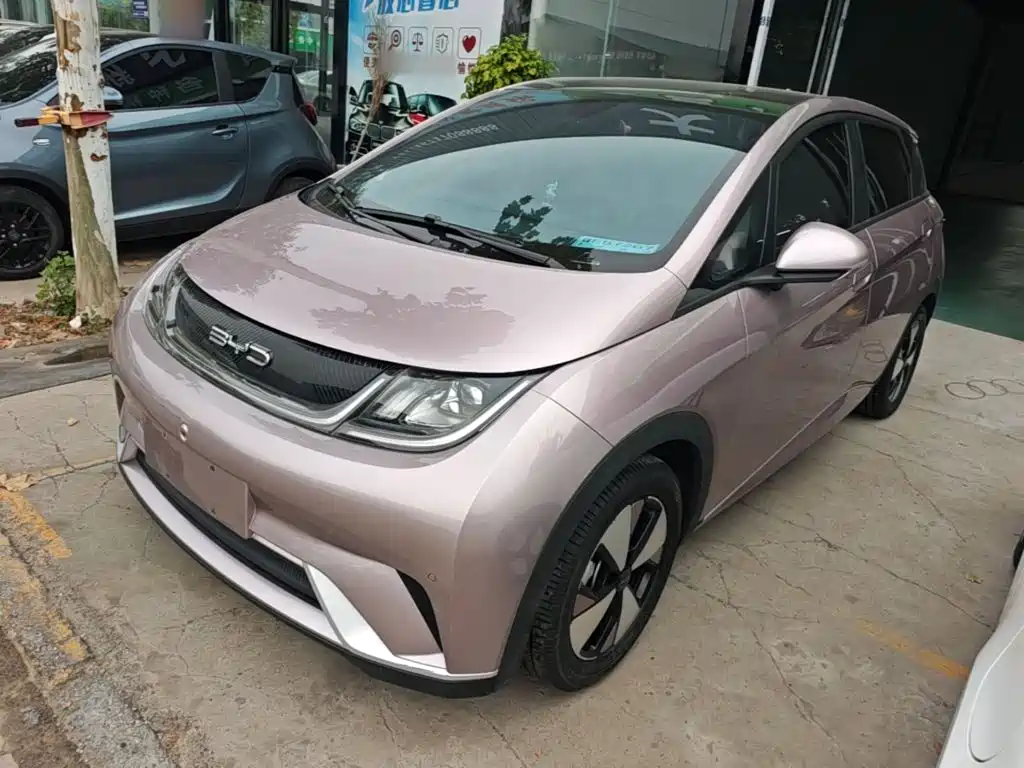 BYD Dolphin