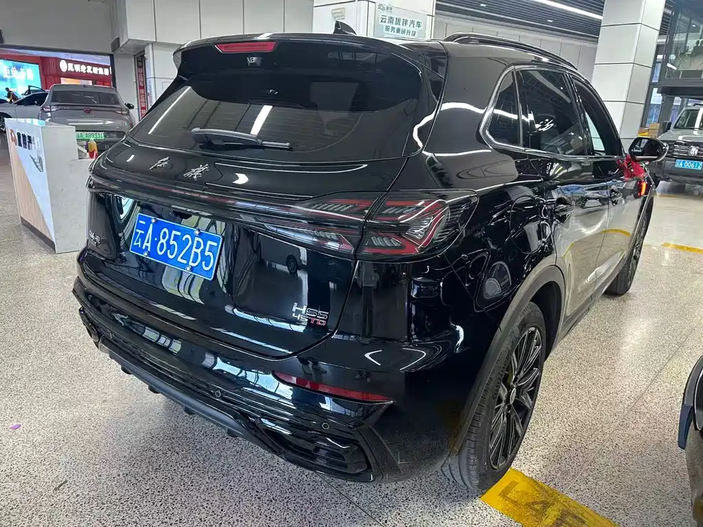 Hongqi Hongqi HS5 — миниатюра 5