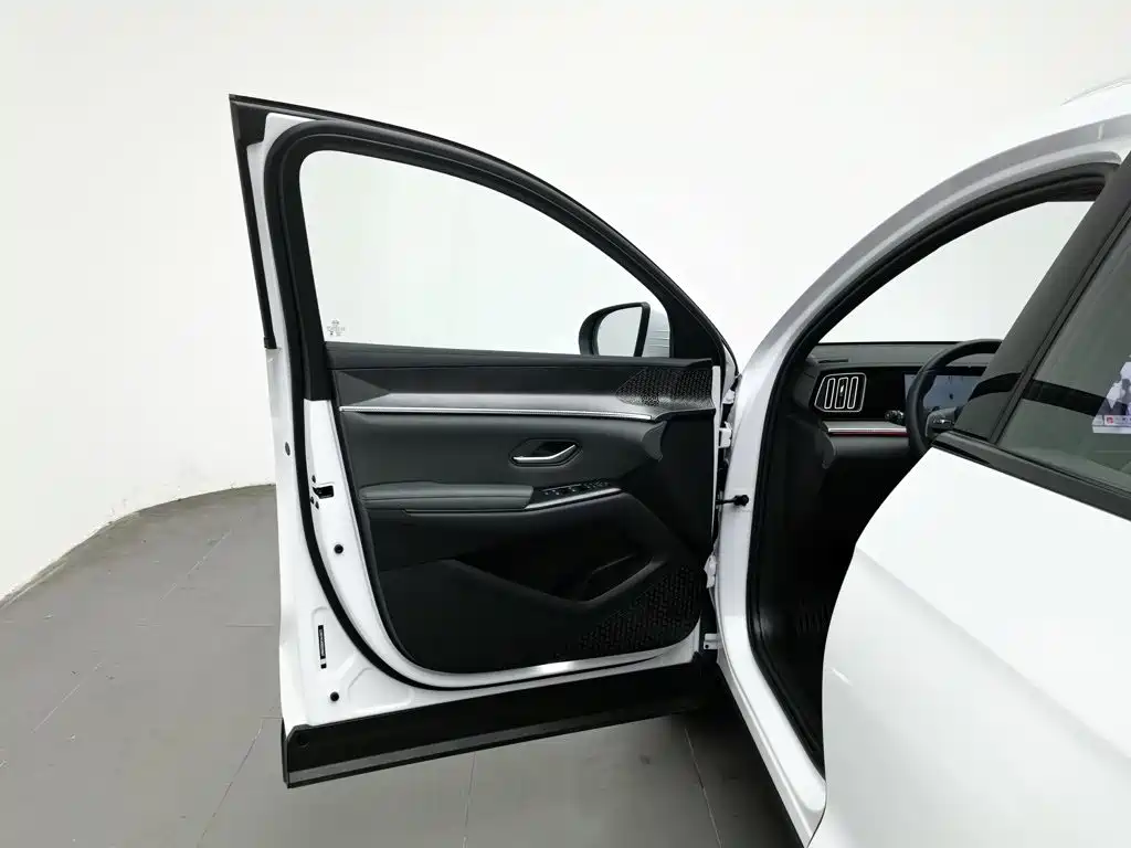 BYD Pro New Energy — миниатюра 8