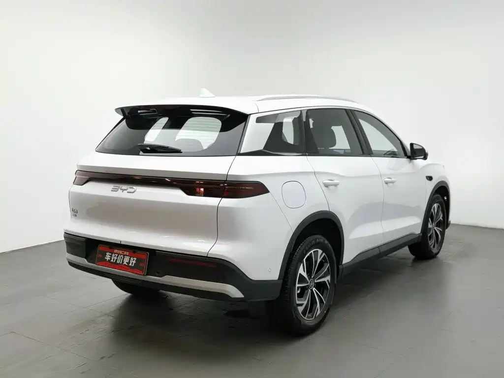BYD Pro New Energy — миниатюра 2