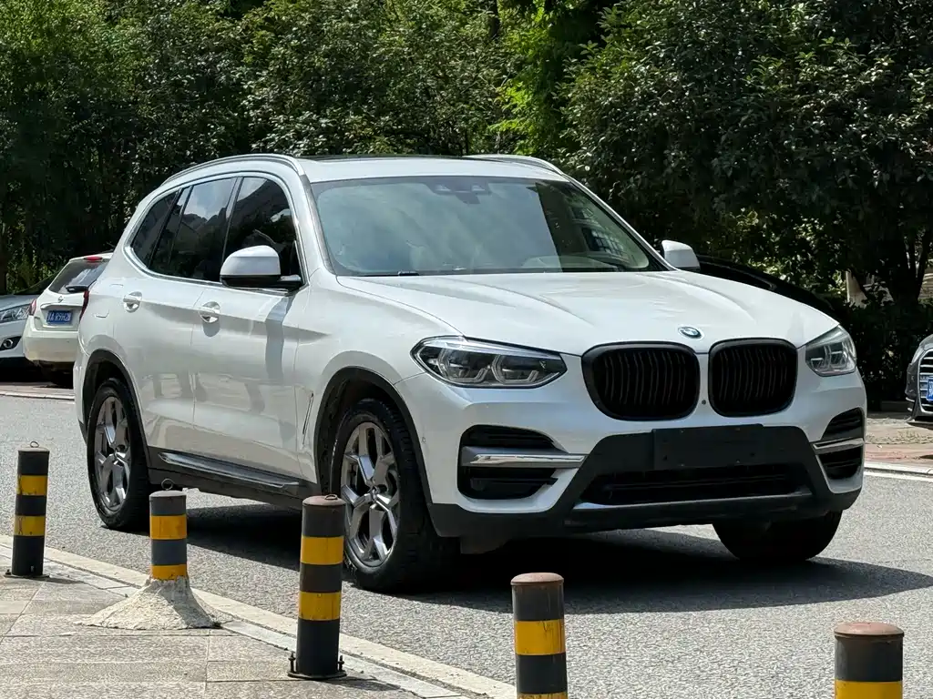 BMW X3 — миниатюра 2