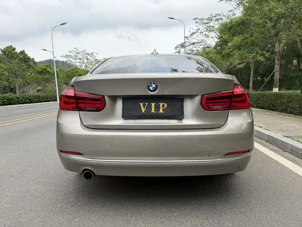 BMW 3 Series 3 2018 318Li