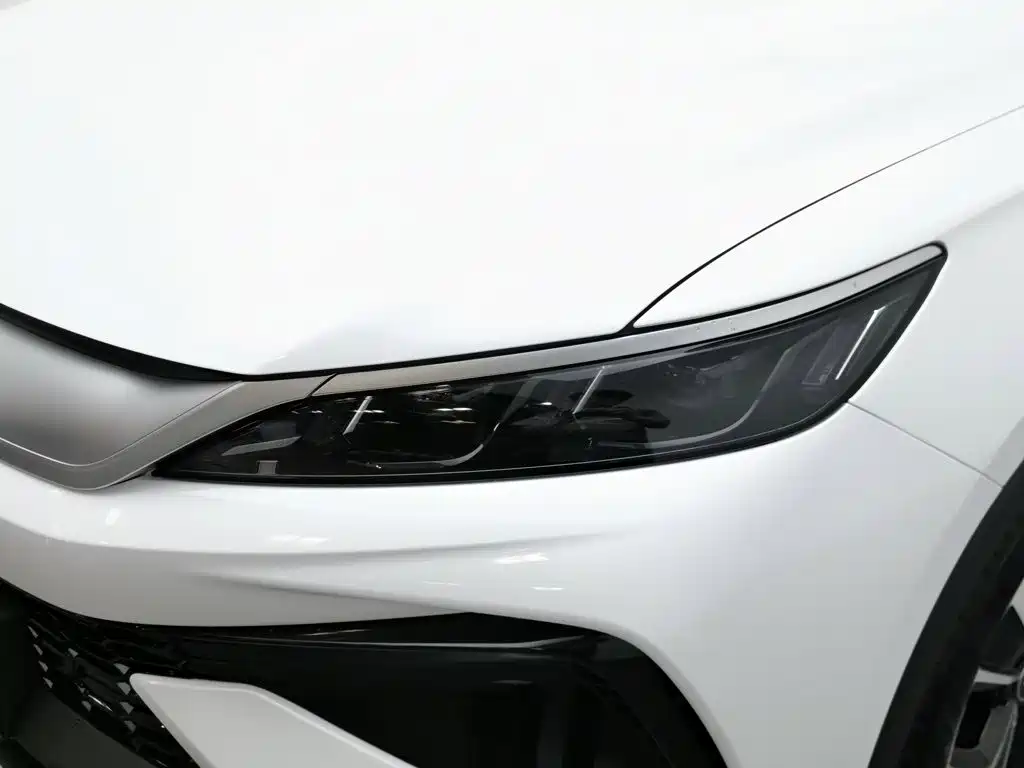 BYD Pro New Energy — миниатюра 7