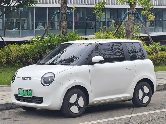 2024 Changan Lumin