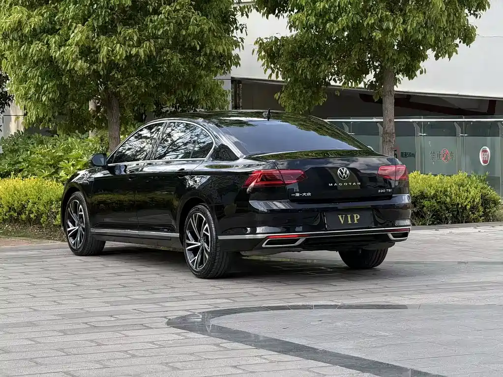 Volkswagen Magotan 2020 330TSI DSG Luxury