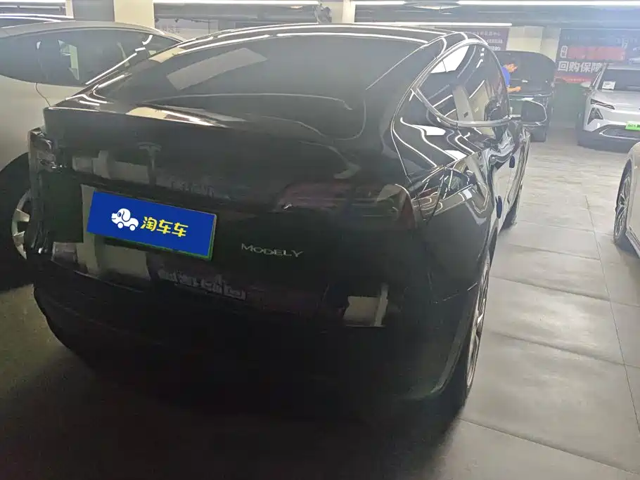 Tesla Model Y — миниатюра 3