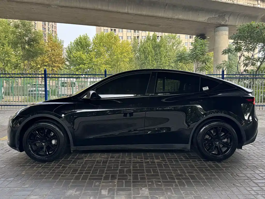 Tesla Model Y — миниатюра 5