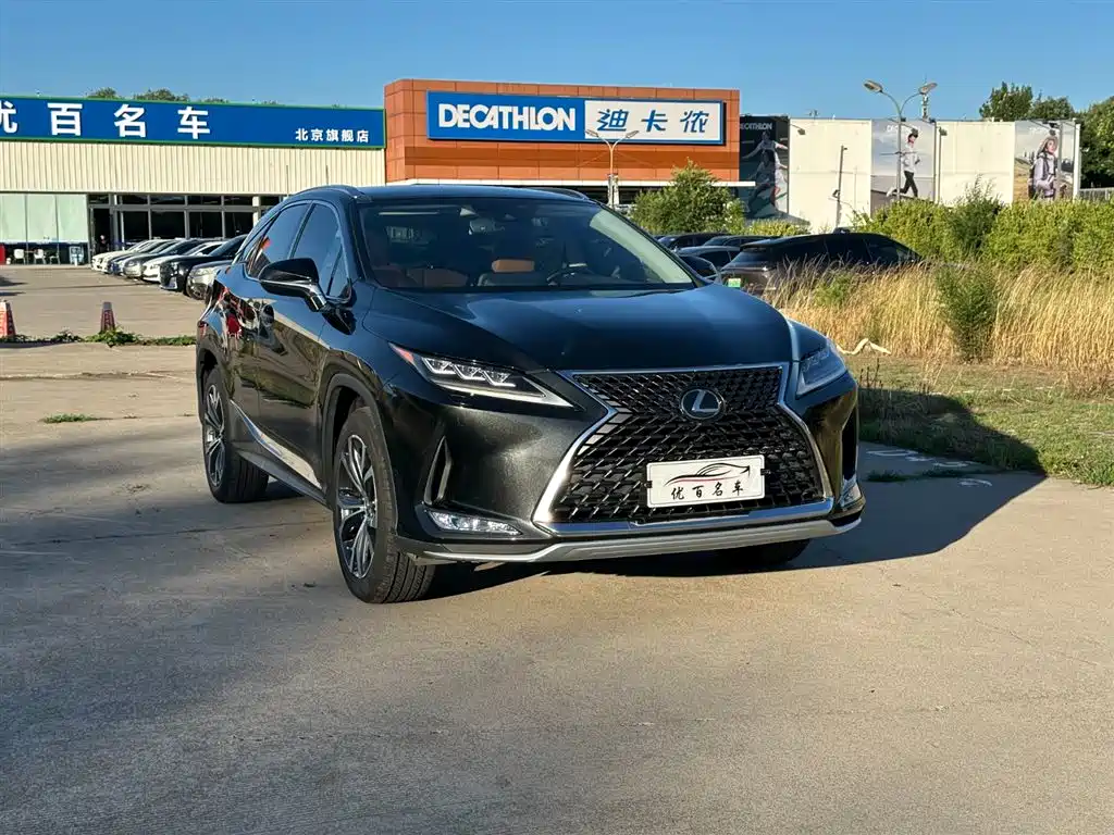 Lexus RX 2020 300 Elegant VI