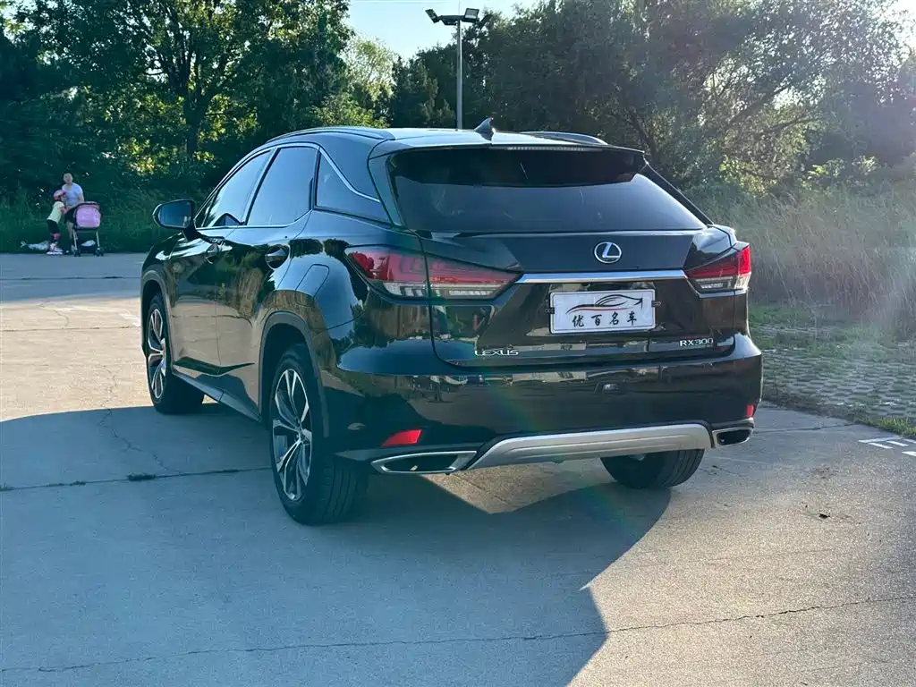 Lexus RX 2020 300 Elegant VI