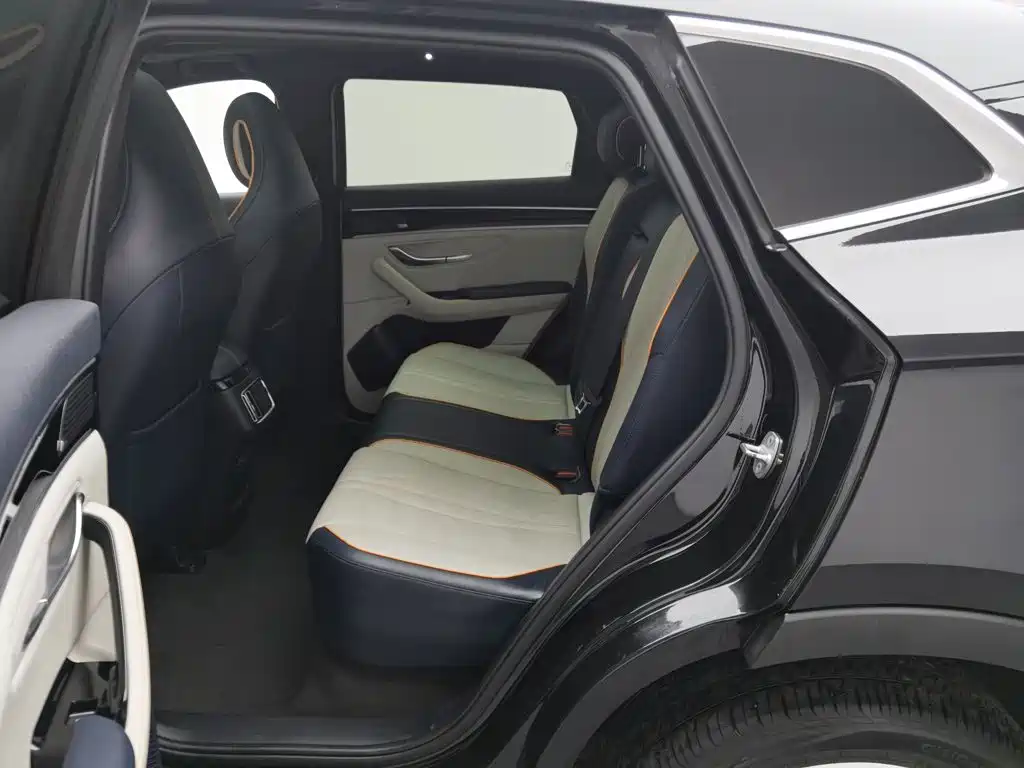 BYD PLUS New Energy — миниатюра 15