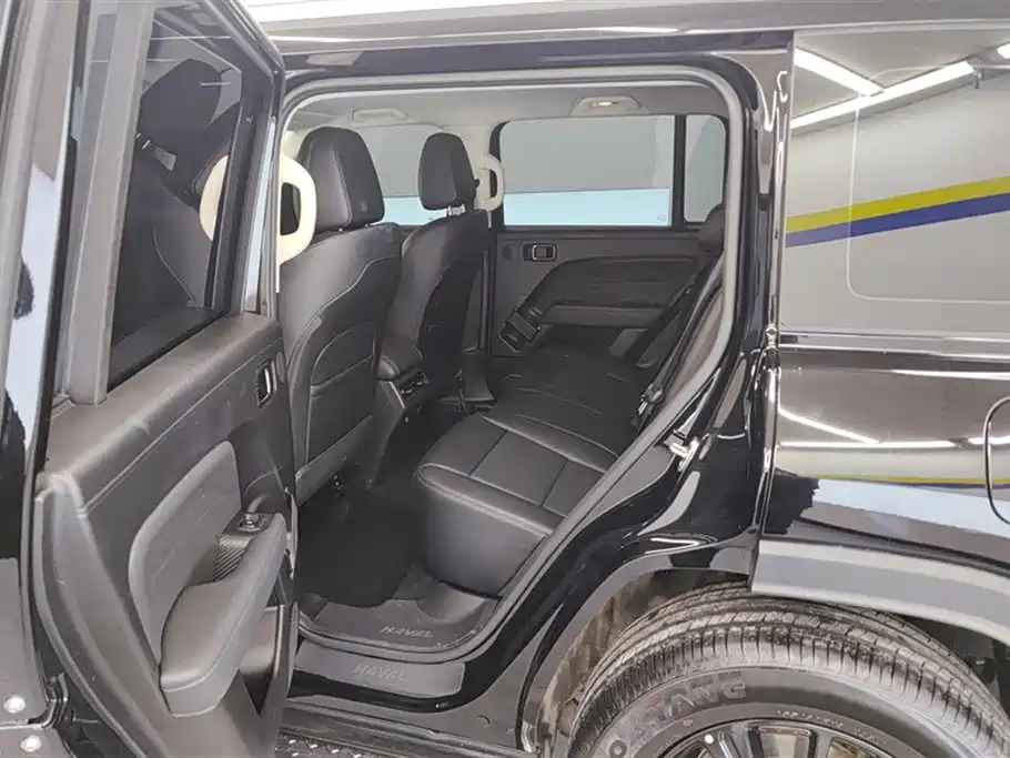 HAVAL RAPTORS NEW ENERGY