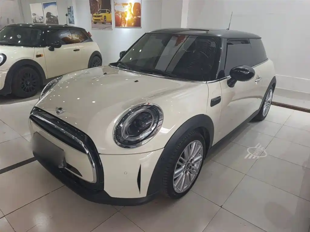 Mini Mini 2021