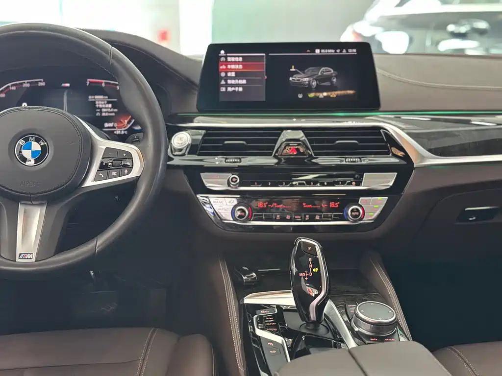 BMW 5 Series — миниатюра 11