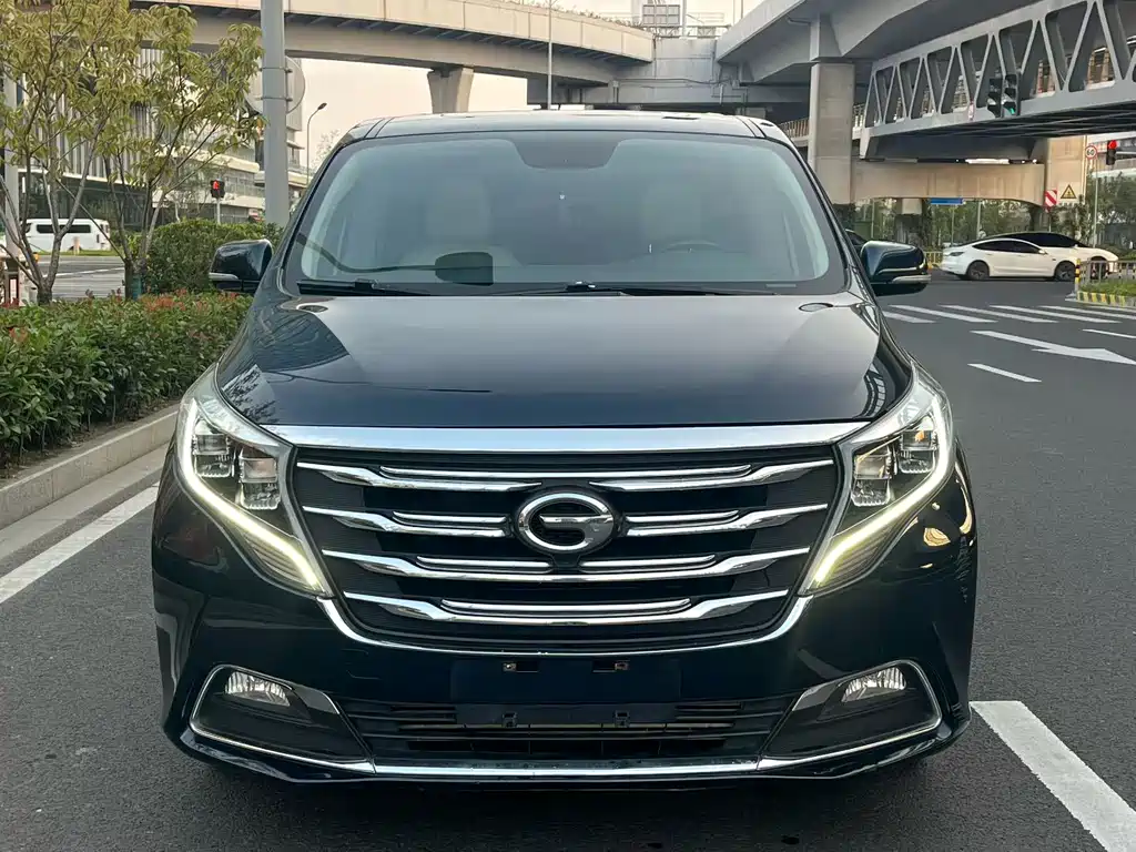 GAC Motor Trumpchi M8 — миниатюра 2
