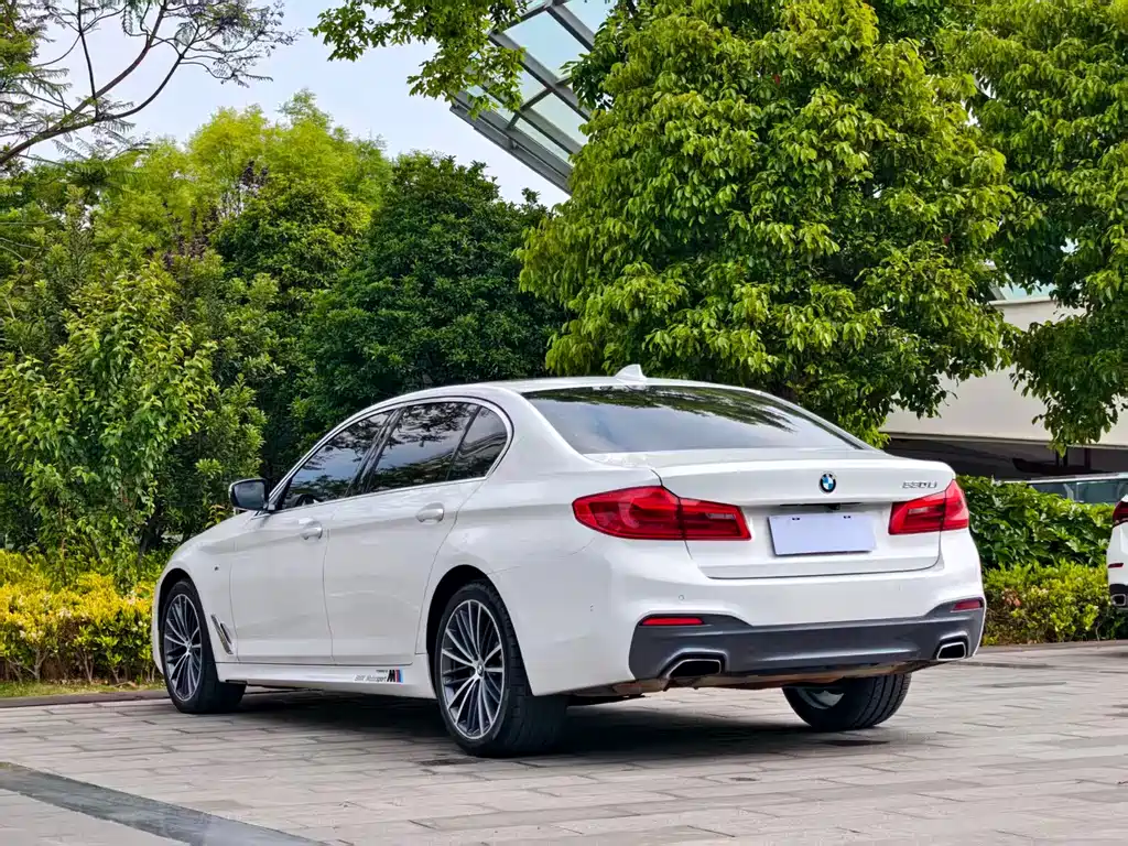 BMW 5 Series 5 2020 530Li Lead M Sport