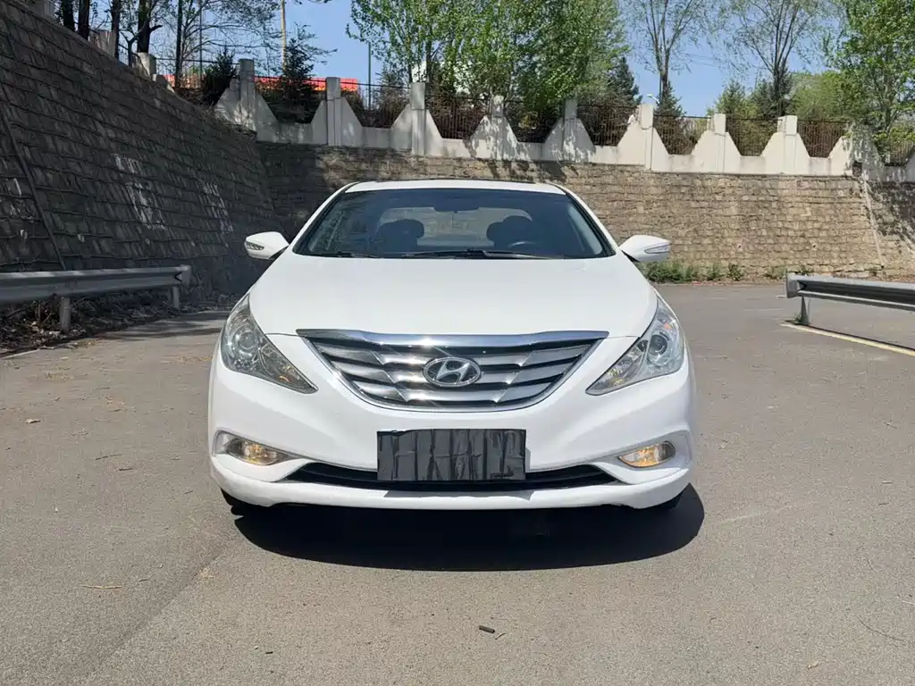 Hyundai Sonata 2.0L Auto Luxury Edition, фото 2