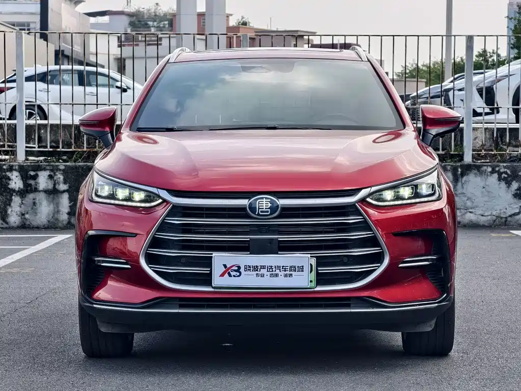 BYD Tang New Energy — миниатюра 2