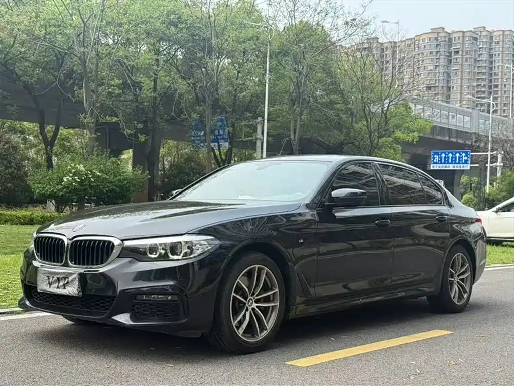 BMW 5 Series 2019