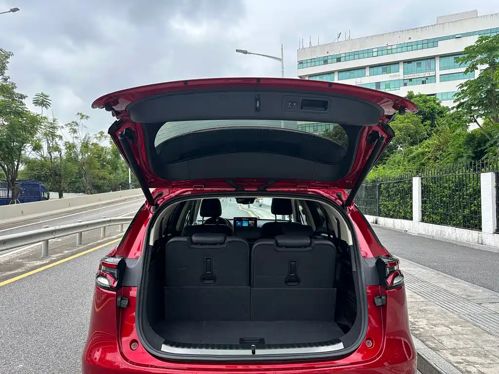 BYD Tang New Energy — миниатюра 12