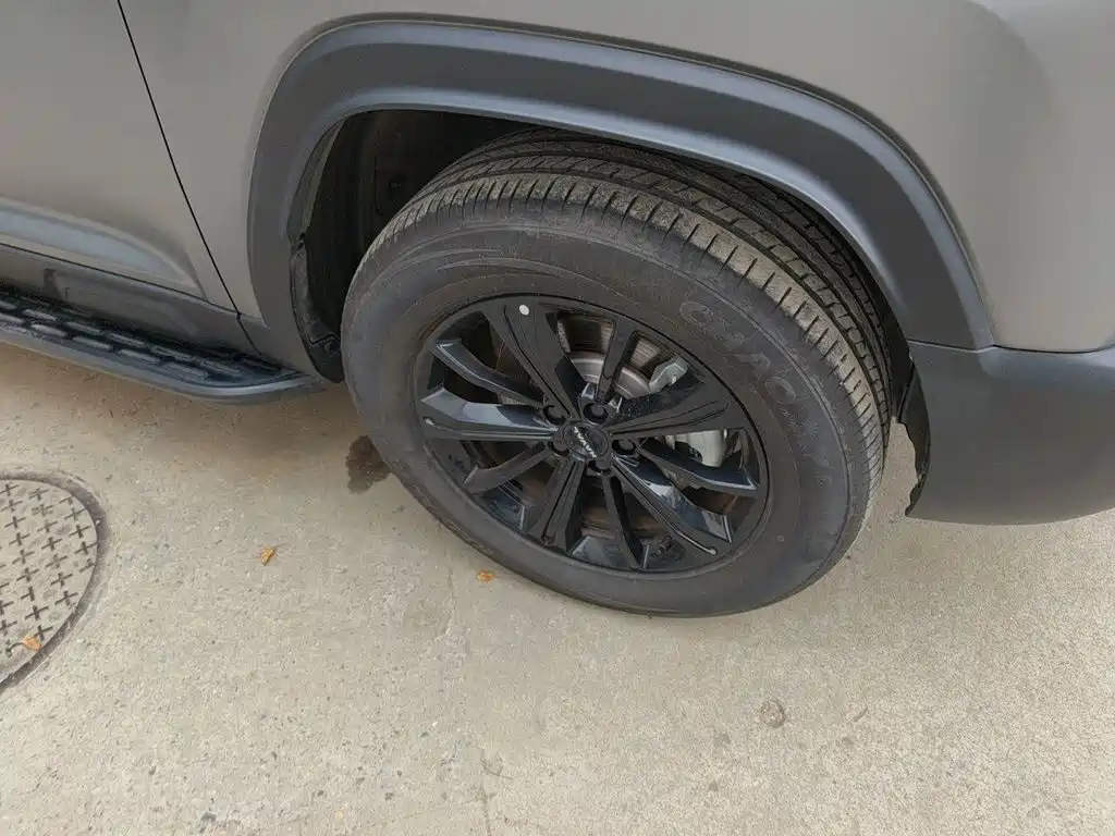 Haval Menglong New Energy — миниатюра 25