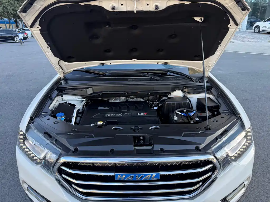 Haval H6 Coupe — миниатюра 16