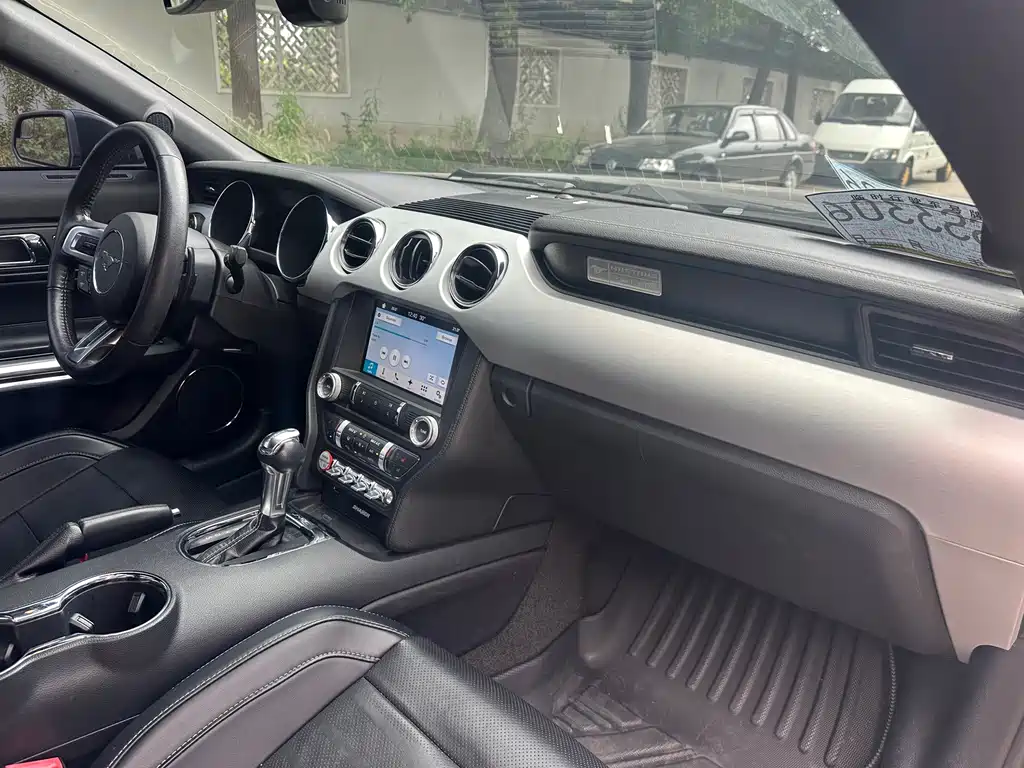 Ford Mustang — миниатюра 19
