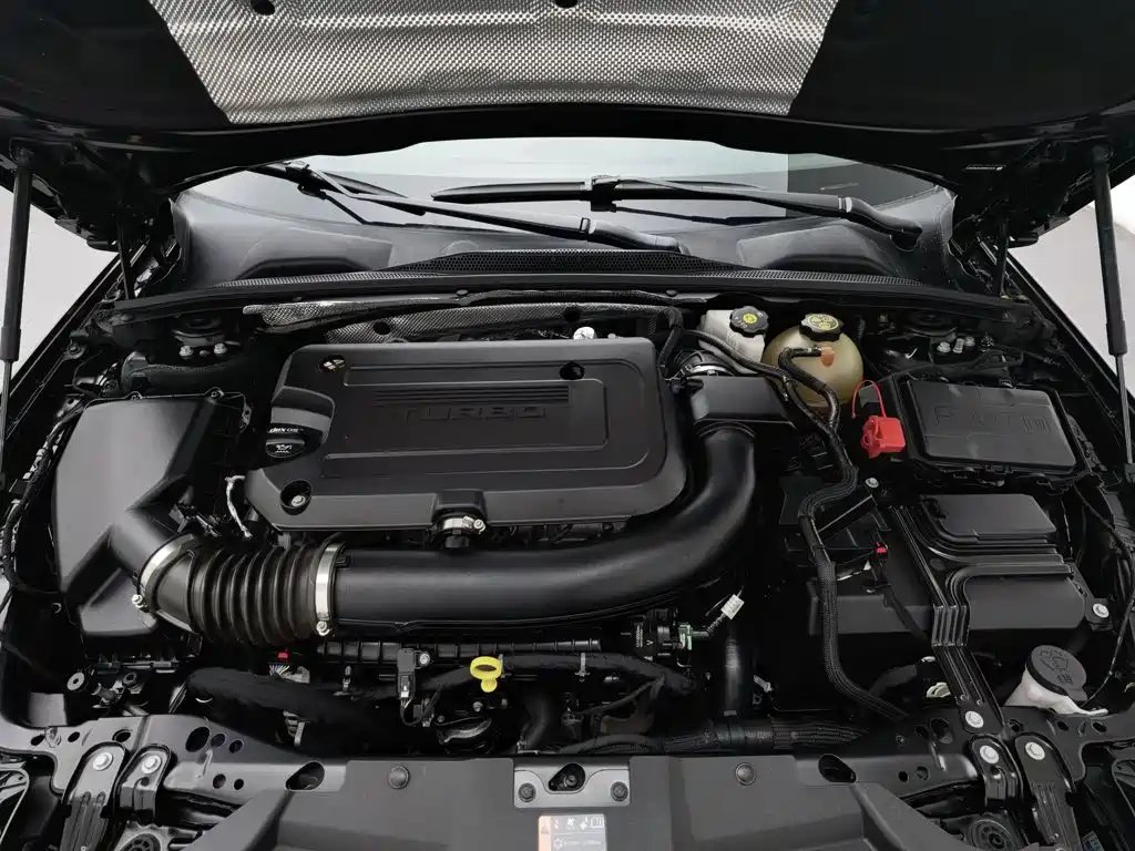 Buick Regal — миниатюра 6
